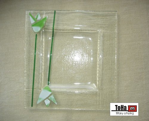Talířek tulipán — foto 2