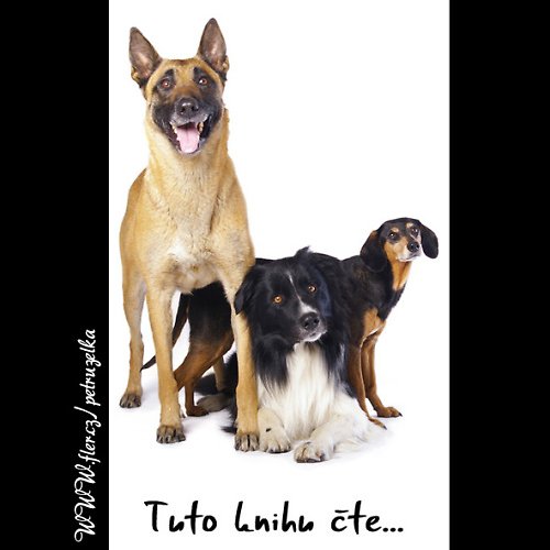 Tuto knihu čte.... — foto 2