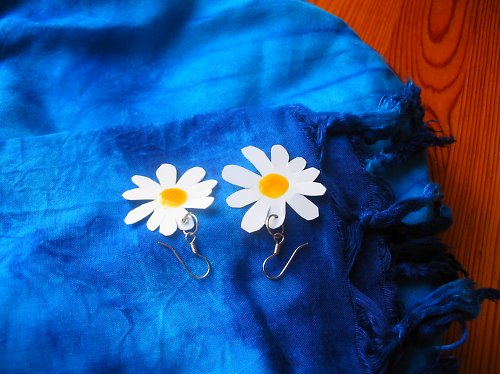 Kopretinky — foto 2