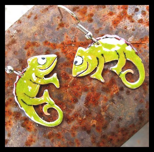 Chameleoni brčálníci — foto 2
