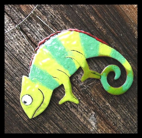 Chameleon proužkatý — foto 3