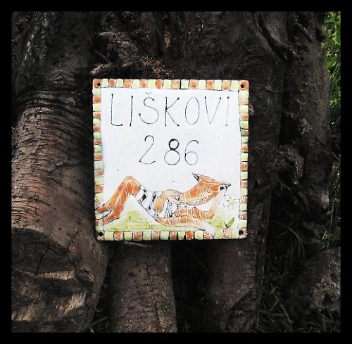 Liškovi — foto 4