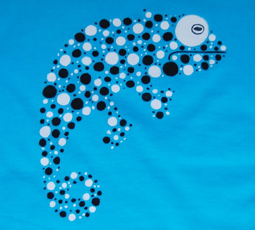 Kde je chamík? — foto 4
