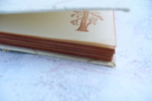 Blok přírodní. — foto 6