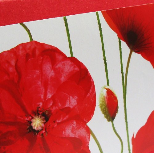 Poppy Flower - Přání — foto 2