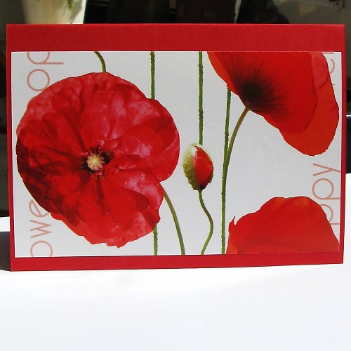 Poppy Flower - Přání — foto 3