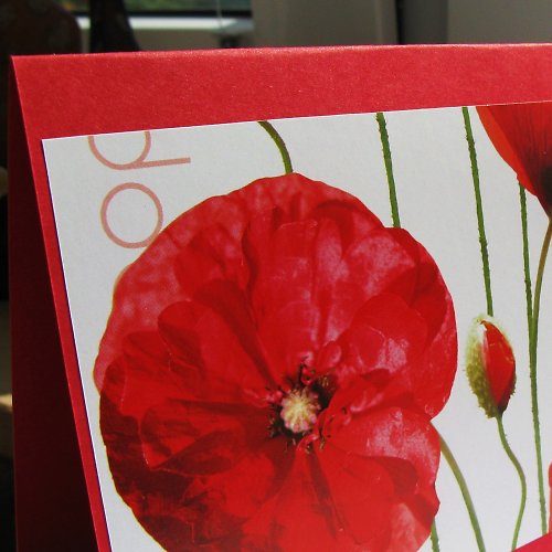 Poppy Flower - Přání — foto 4