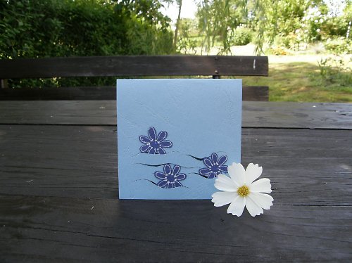 Přání modrokvěté — foto 3