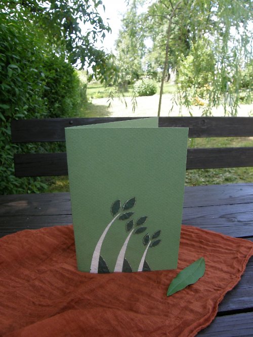 Přání louka — foto 2