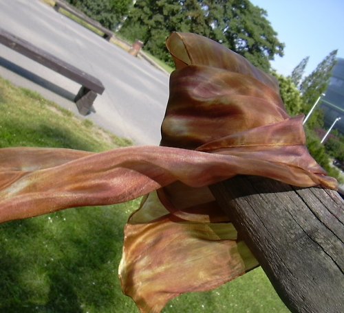 Dvě hedvábné hnědé — foto 5