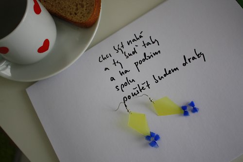 Spolu — foto 2