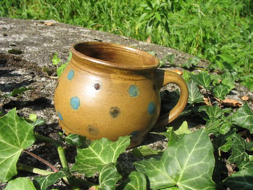 Borůvková sezóna končí... — foto 2