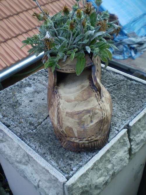 Bota — foto 2