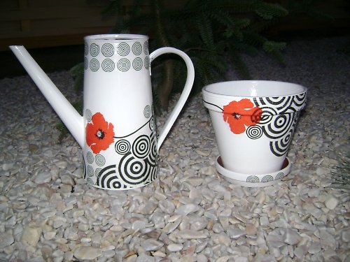 Černobílá.... — foto 2