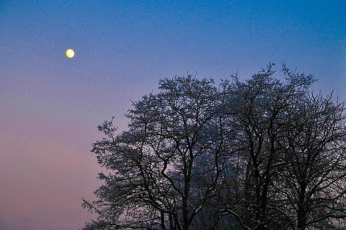 Rêvé pour l'hiver — foto 5