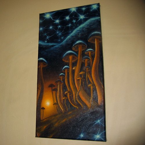 Houby — foto 3