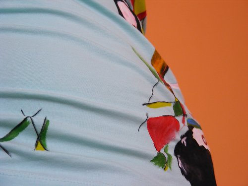 Lomo — foto 3