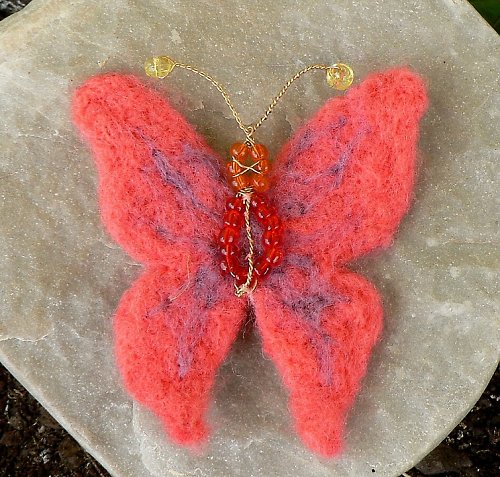 Motýlci na přání — foto 3