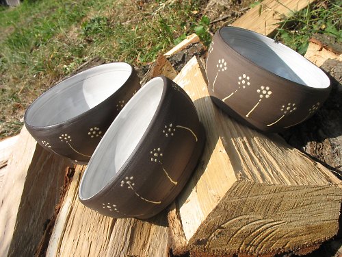 Hájovské kvítí... — foto 4