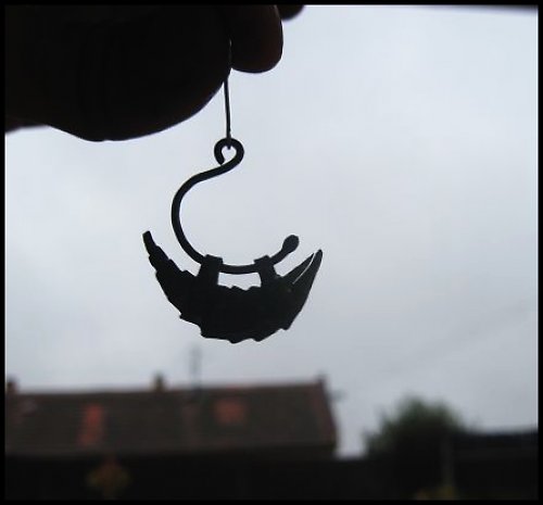 Pásovci — foto 4