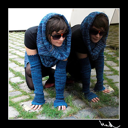 Modrý chomout — foto 2