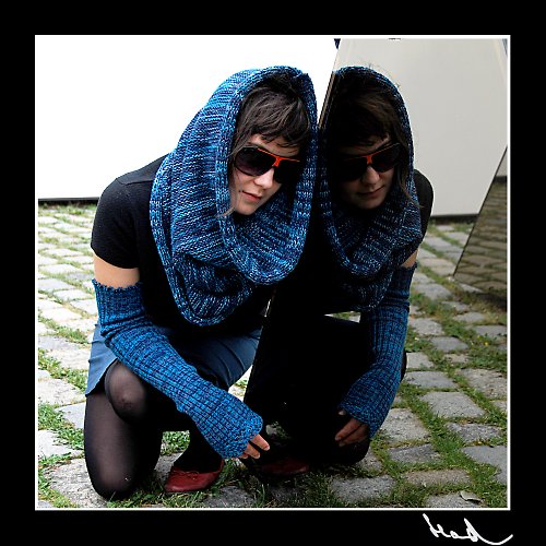 Modrý chomout — foto 5