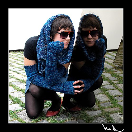 Modrý chomout — foto 6