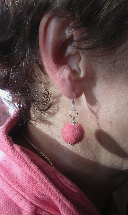 Losos nebo lotos? — foto 2