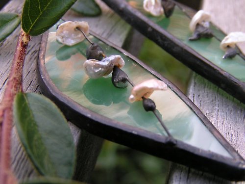 Lístečky od víly — foto 3