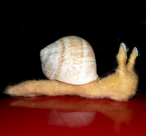 Šnek na přání — foto 3