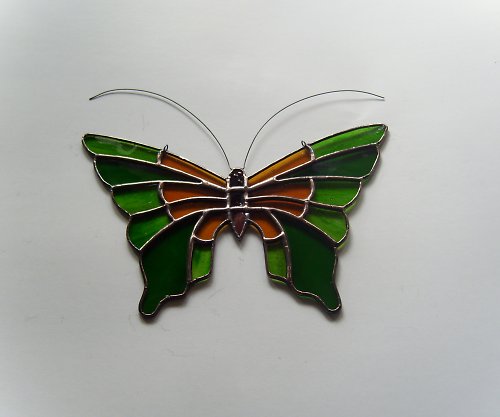 Papilio — foto 2