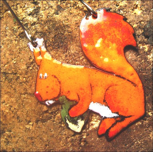 Veverka — foto 2