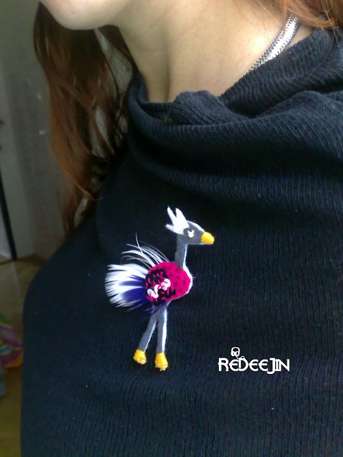 (-:pštros co se pěkně vybarvil:-) — foto 2