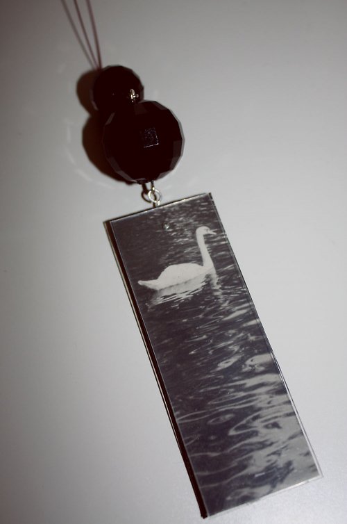 Labuťák — foto 2