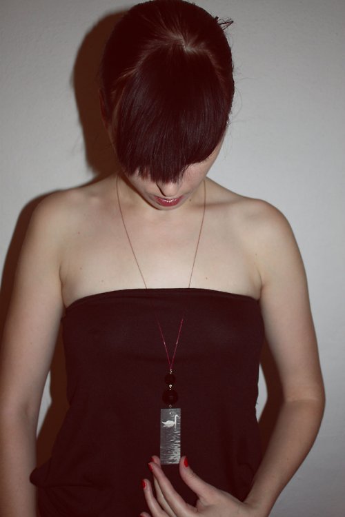 Labuťák — foto 4
