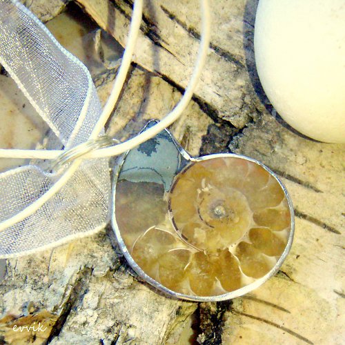 Madagaskarský — foto 2