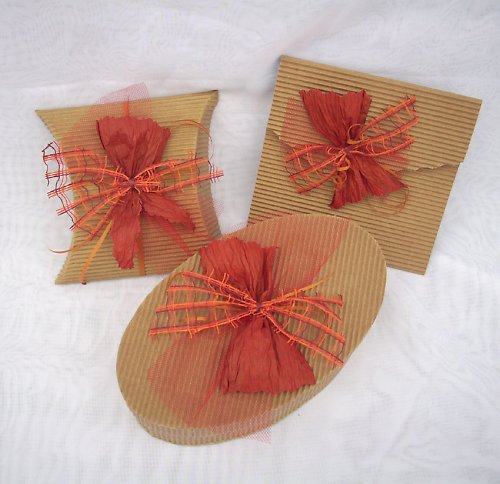 *Obal na CD - cihlová červená — foto 3