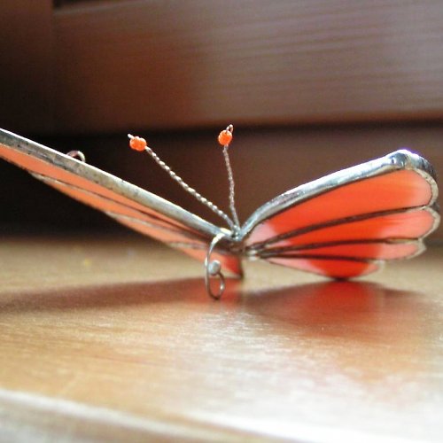 Motýlek letící — foto 2