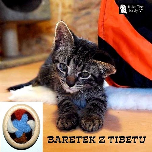 Jehelníček od kocourka Baretka — foto 5