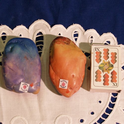 Ptáček Modráček — foto 2