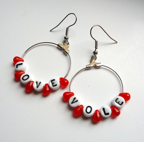 Love Vole — foto 2