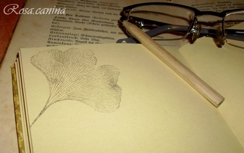 Dendrologův zápisník — foto 3