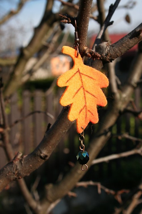 Padá listí...je podzim — foto 3