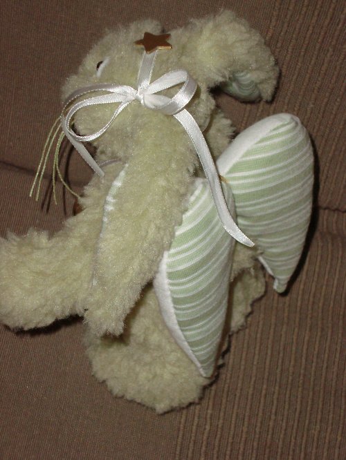 Králík andělský — foto 2