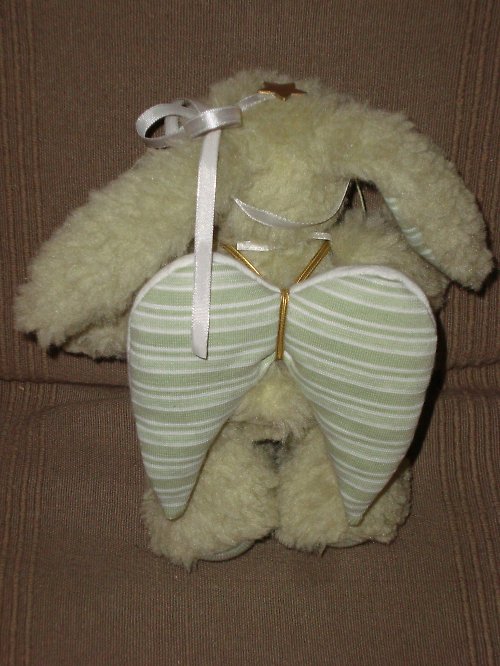 Králík andělský — foto 3