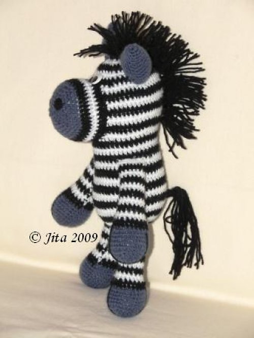 Zebra malá — foto 2