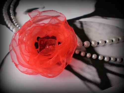 Poppy Frenzy — foto 2