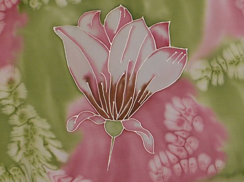 Magnolie — foto 2