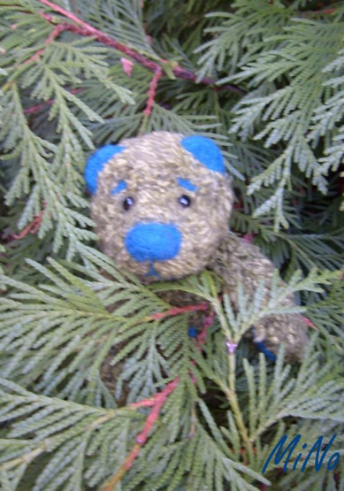 Špenát s brejlema — foto 3