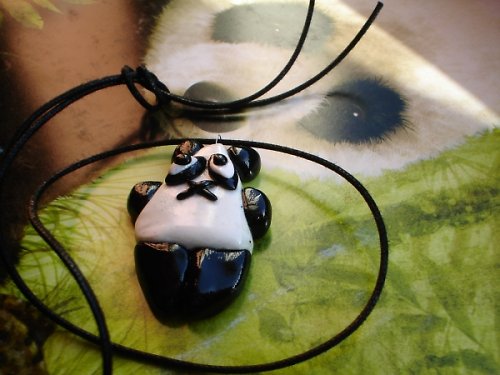 Panďuška pro Carpu — foto 2